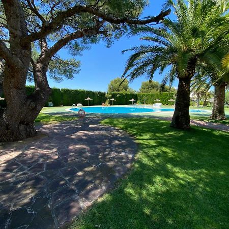 Apartamentos Tres Playas Altamar Alcoceber Экстерьер фото