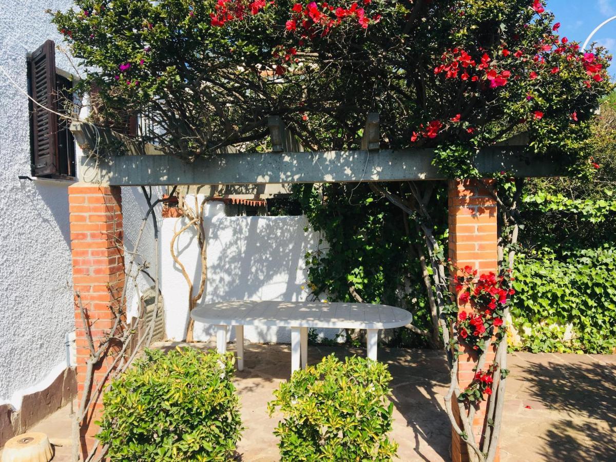 Apartamentos Tres Playas Altamar Alcoceber Экстерьер фото